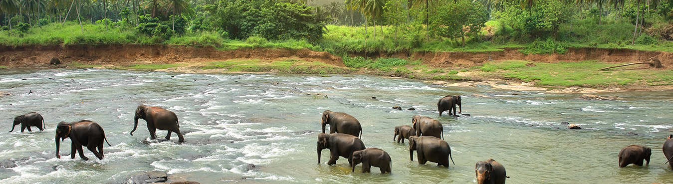 Best of Sri Lanka