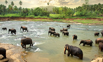 Best of Sri Lanka