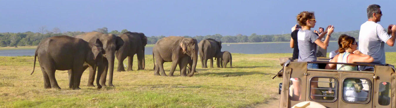 06 Nights Family Tour of Sri Lanka