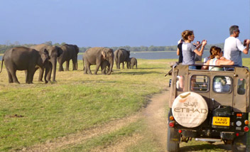 06 Nights Family Tour of Sri Lanka