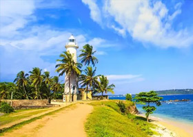 AIRPORT – PINNAWALA – KANDY