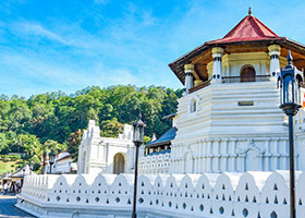 Kandy – Nuwara Eliya