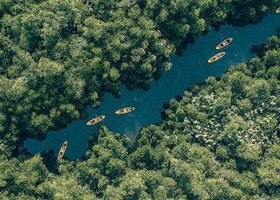 Sightseeing Bentota - (14th Feb 2026)