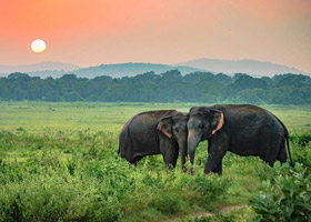 Airport – Kandy